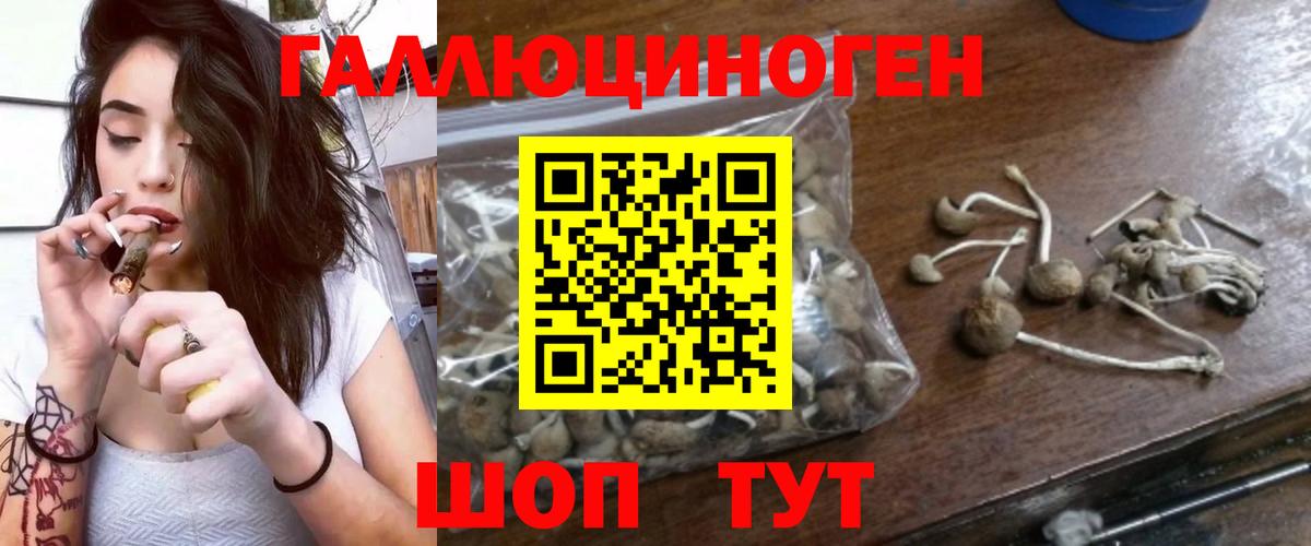 Тавда  даркнет сайт  Вход с VPN  Галлюциногенные грибы мухоморы 
